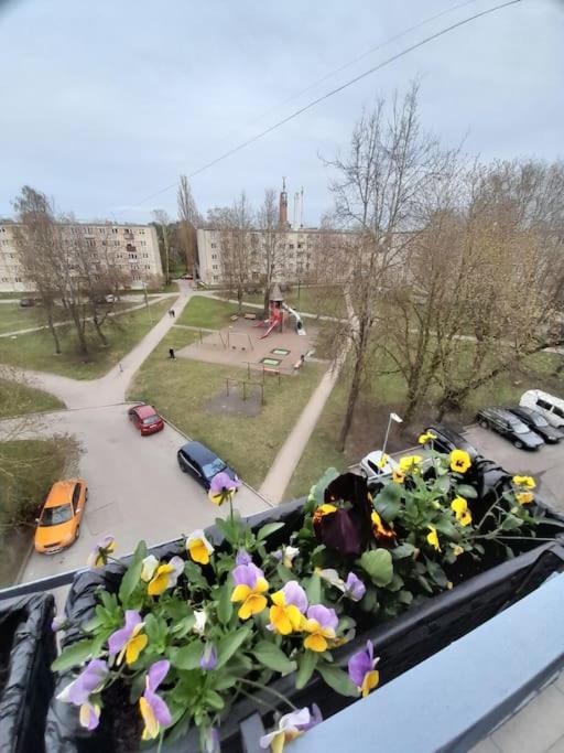 солнце воздух и вода Jurmala